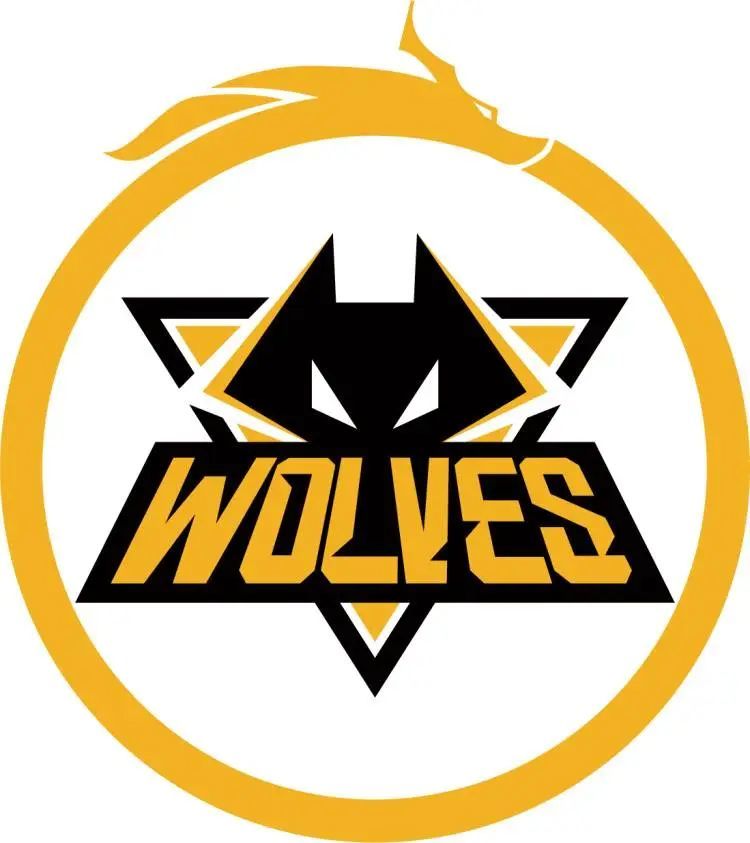 KT赛后群访 主教练：三个S12冠军选手很有热情，他们还有夺冠梦想